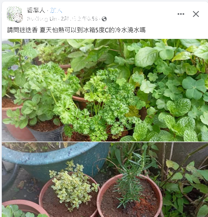 植物怕熱可不可以澆冰水？ post thumbnail image